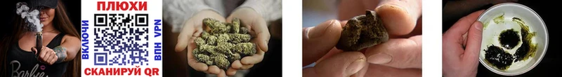 ГАШИШ AMNESIA HAZE  Купить закладки  Богородицк 