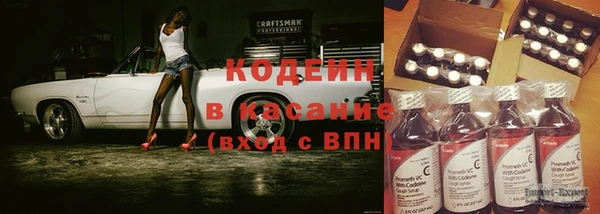 СК Тайга