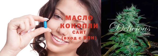 дмт Тавда