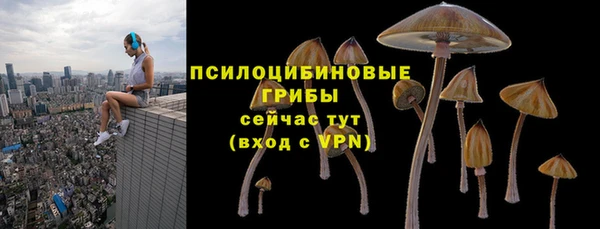 мдма Сясьстрой