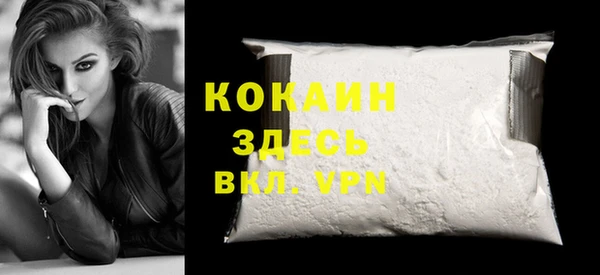 дмт Тавда