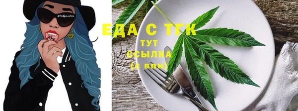 дмт Тавда