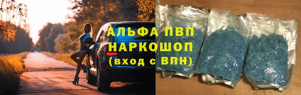 дмт Тавда