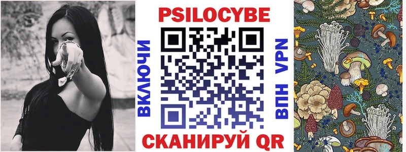 Купить  Богородицк  Галлюциногенные грибы Magic Shrooms 